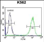 GOLGA5 Antibody in Flow Cytometry (Flow)
