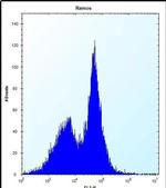 PHKG1 Antibody in Flow Cytometry (Flow)