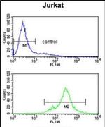 SPRED1 Antibody in Flow Cytometry (Flow)