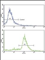 ALDH6A1 Antibody in Flow Cytometry (Flow)