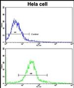 ERAS Antibody in Flow Cytometry (Flow)