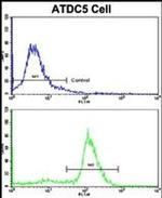 ALDH5A1 Antibody in Flow Cytometry (Flow)