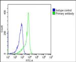 LIN28B Antibody in Flow Cytometry (Flow)