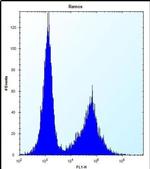 Necdin Antibody in Flow Cytometry (Flow)