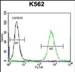 Cardiotrophin 1 Antibody in Flow Cytometry (Flow)