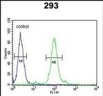 FAU Antibody in Flow Cytometry (Flow)