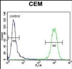 ATF3 Antibody in Flow Cytometry (Flow)