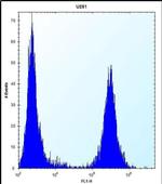 TGFBI Antibody in Flow Cytometry (Flow)