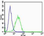 EEF1B2 Antibody in Flow Cytometry (Flow)