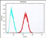 SULT1A1 Antibody in Flow Cytometry (Flow)