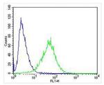 FAM168B Antibody in Flow Cytometry (Flow)