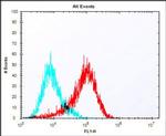 MELK Antibody in Flow Cytometry (Flow)