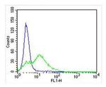 DRD5 Antibody in Flow Cytometry (Flow)