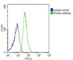 RPL14 Antibody in Flow Cytometry (Flow)