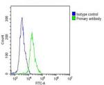 CESK1 Antibody in Flow Cytometry (Flow)