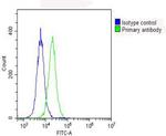 RPS10 Antibody in Flow Cytometry (Flow)