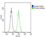 RPS7 Antibody in Flow Cytometry (Flow)
