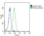 RPS4X Antibody in Flow Cytometry (Flow)