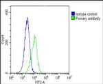 PCSK1 Antibody in Flow Cytometry (Flow)