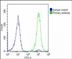 GLUT3 Antibody in Flow Cytometry (Flow)