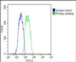 PABPC3 Antibody in Flow Cytometry (Flow)