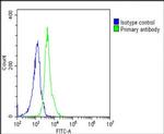 RPS2 Antibody in Flow Cytometry (Flow)