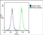 LGR5 Antibody in Flow Cytometry (Flow)