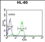 POLG2 Antibody in Flow Cytometry (Flow)