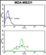 AHA1 Antibody in Flow Cytometry (Flow)