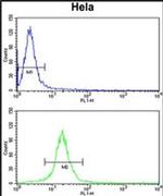 TUFM Antibody in Flow Cytometry (Flow)