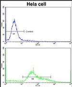 STRAP Antibody in Flow Cytometry (Flow)