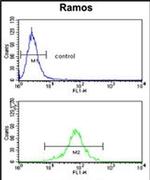 PGLS Antibody in Flow Cytometry (Flow)
