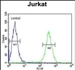 hnRNP L Antibody in Flow Cytometry (Flow)