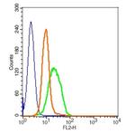 GLP1R Antibody in Flow Cytometry (Flow)