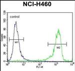 RCAN2 Antibody in Flow Cytometry (Flow)