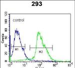 Kallikrein 7 Antibody in Flow Cytometry (Flow)