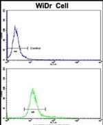FCP1 Antibody in Flow Cytometry (Flow)