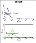 GAS7 Antibody in Flow Cytometry (Flow)