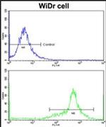 IGFBP6 Antibody in Flow Cytometry (Flow)