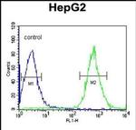 PFTK1 Antibody in Flow Cytometry (Flow)