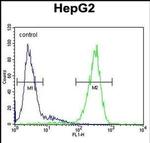 FUCA1 Antibody in Flow Cytometry (Flow)