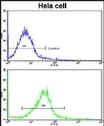 CUEDC2 Antibody in Flow Cytometry (Flow)