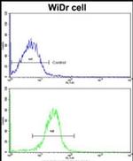 AADAC Antibody in Flow Cytometry (Flow)