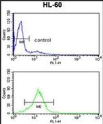 HLTF Antibody in Flow Cytometry (Flow)