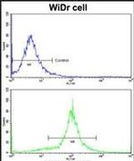 ACADM Antibody in Flow Cytometry (Flow)