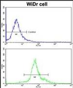 HOXB5 Antibody in Flow Cytometry (Flow)