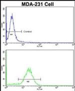 COLEC11 Antibody in Flow Cytometry (Flow)