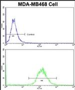 DFNA5 Antibody in Flow Cytometry (Flow)