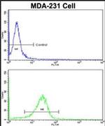 SAPAP1 Antibody in Flow Cytometry (Flow)