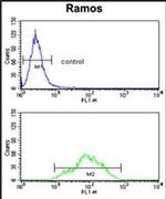 ETFDH Antibody in Flow Cytometry (Flow)
